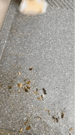 5ecff50d9fdd8b579b6397f8b9fd5bc4_1709390886_2895_1733104529.gif